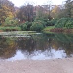 Pond at the playground